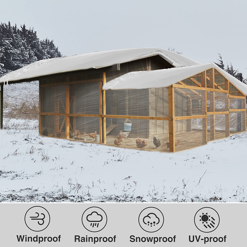 Lona transparente 2*3 4 5 6 7  - Sun Sail Shade reseña y precio